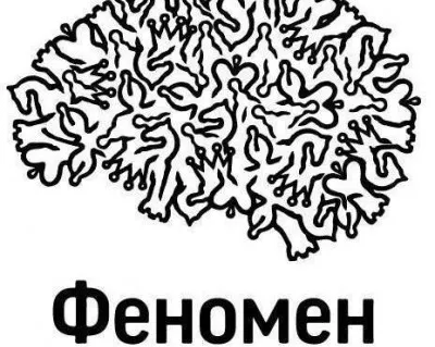 Шахматная школа Феномен