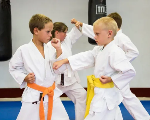 Московский клуба восточных единоборств VOL-1 DOJO