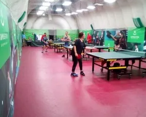 Настольный теннис