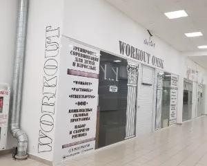 Тренировка по воркауту