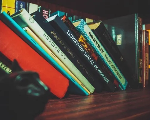 Я читаю. Я рисую (на ул. Шевченко)