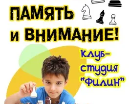 шахматы