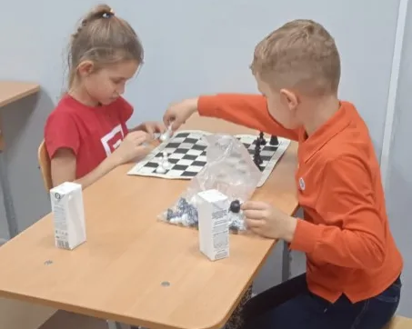 Шахматы