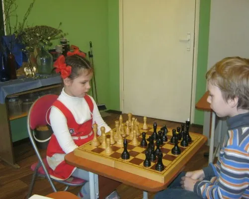 Шахматы