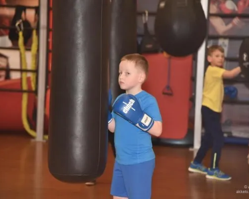 Силачи (бокс)