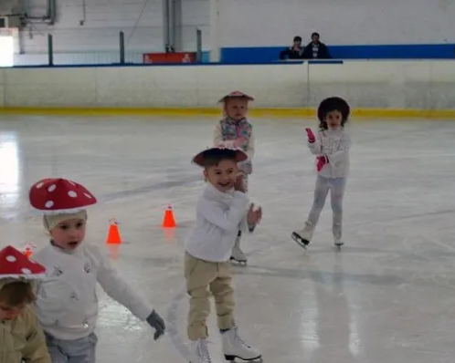 Фигурное катание и хоккей