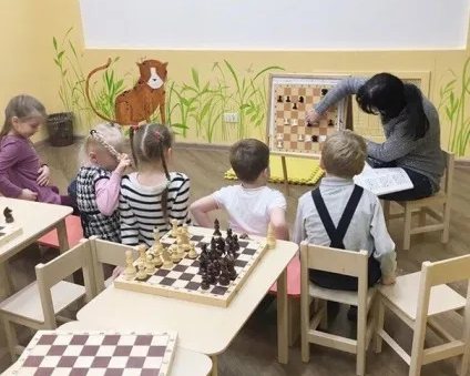 Шахматы