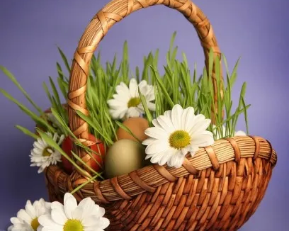 Флористическая мозаика