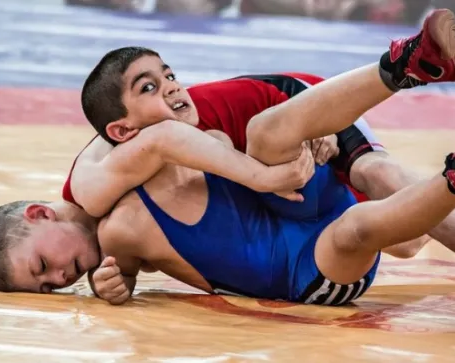 Вольная борьба