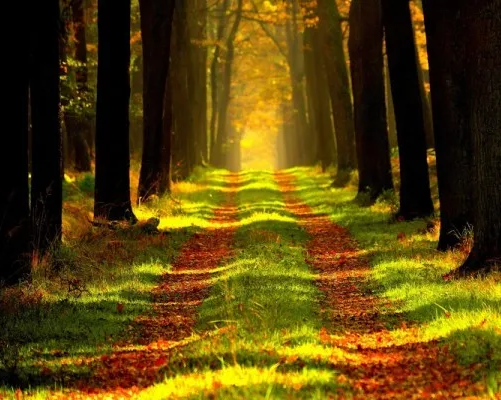 Живой музей «Экодом»