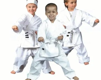 Классическое японское карате