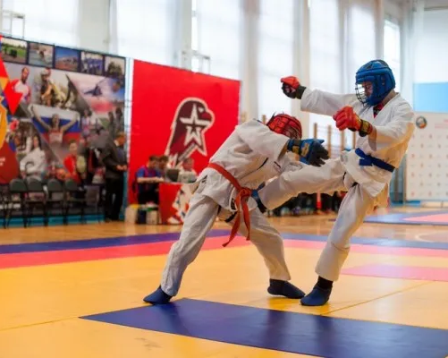 Боевое самбо