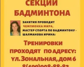 Бадминтон