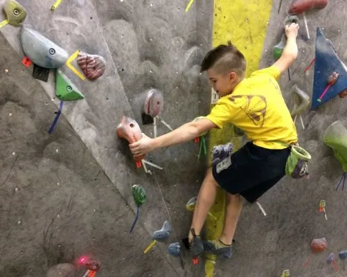 Вводное занятие "Покори вершину"