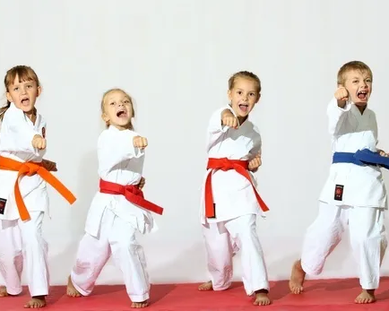 Тхэквондо 6-7 лет