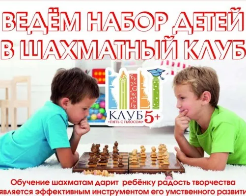 Шахматы