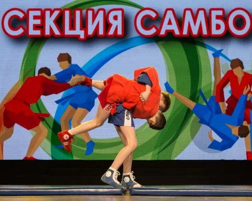 Борьба САМБО (группа начальной подготовки)