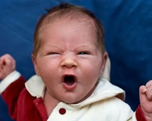 Раннее развитие