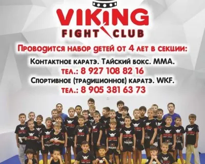 Клуб единоборств Viking