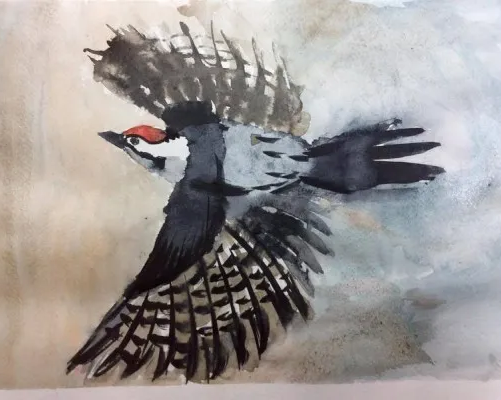 Студия акварельной живописи