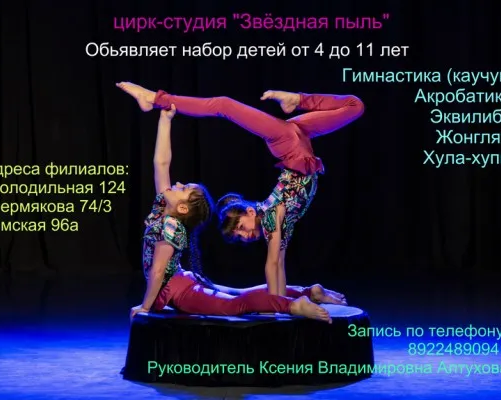Цирк-студия «Звёздная пыль»