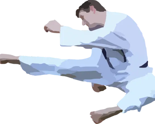 Карате киокушинкай (в мкр. ТЭЦ-3)