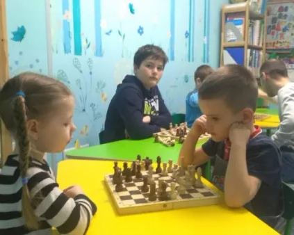 Шахматы