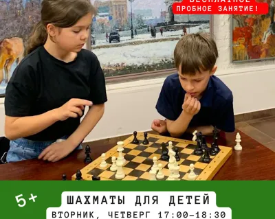 Шахматы