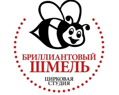 Цирковая студия «Бриллиантовый шмель»