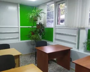 Репетитор к ЕГЭ и ОГЭ по школьным предметам