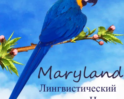 Лингвистический центр Maryland: курсы иностранных языков