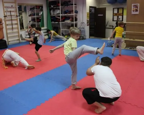 Школа капоэйра