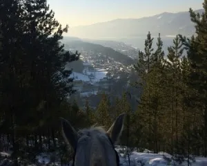 Конные прогулки