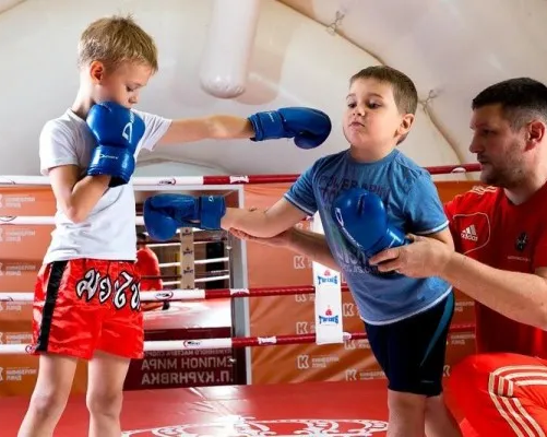 Силачи (бокс)