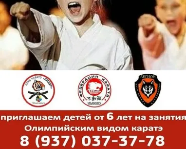 Олимпийское каратэ WKF