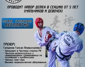 Тхэквондо ГТФ