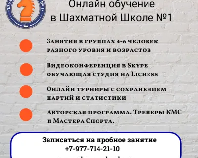 Шахматы
