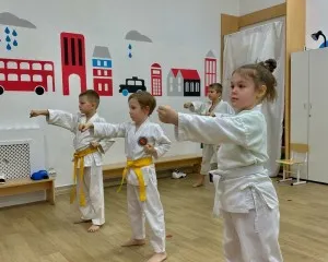 Каратэ