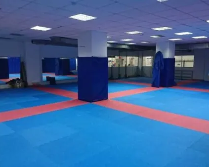 Российский центр капоэйры, Бибирево