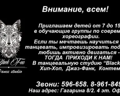 Студия современного танца Black Fox