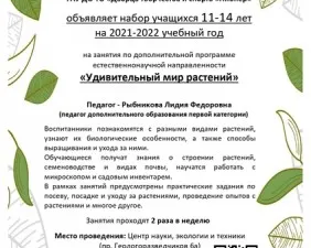 Удивительный мир растений