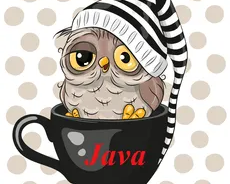 Основы языка Java