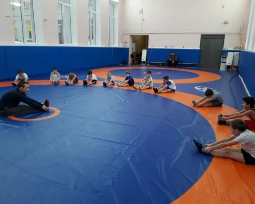 Греко-римская борьба