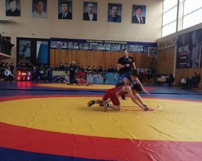 Вольная борьба