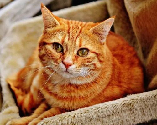 Юные друзья природы