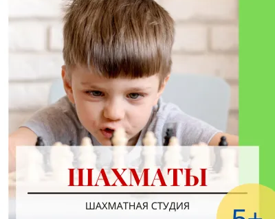 Шахматы