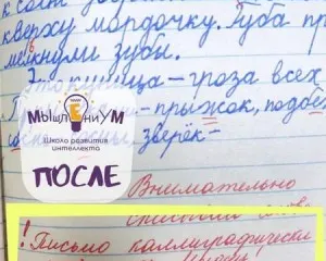 Чистописание, аккуратный почерк и грамотное письмо