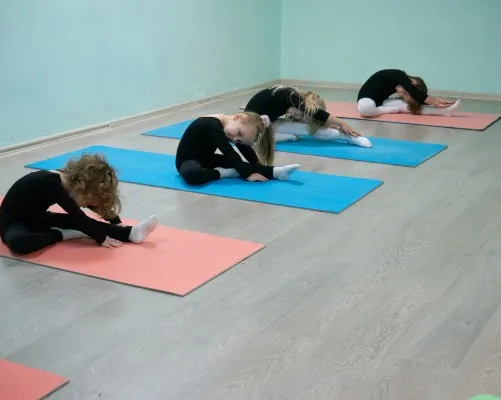 Гимнастика в Восточном Дегунино GymBalance