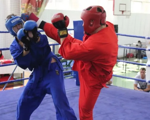 Самбо, кудо, рукопашный бой