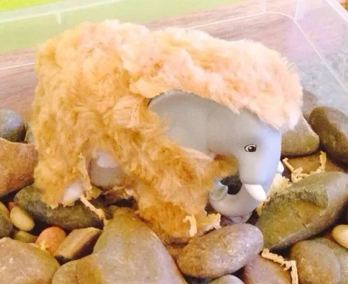 Развивающие занятия «Умница»